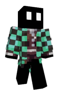 Front of Netloc2's skin