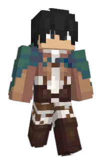 Front of Wrygames's skin