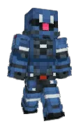 Chopawamsic