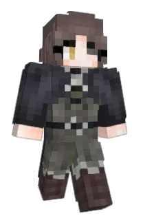 Front of dismantled's skin