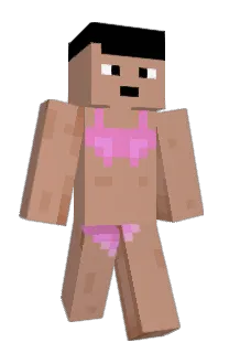 Front of Minecraft skin