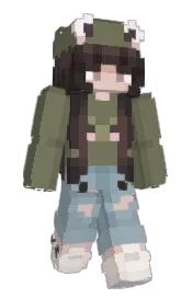Skin preview