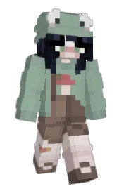 Skin preview