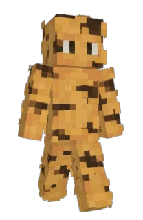 Front of Anartista's skin