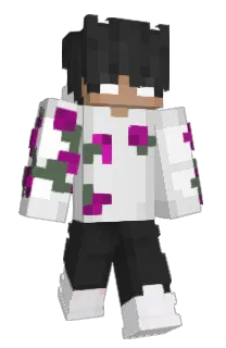 Front of sskt's skin