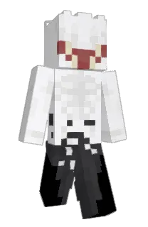 Front of ManekoCube's skin