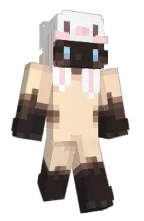 Front of 229c's skin