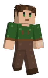Minecraft skin — Classic model