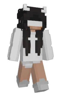 Front of yyourdealer's skin