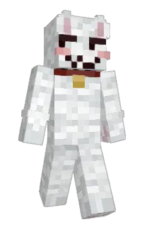 Front of DonnyTheDonny's skin
