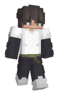 Front of SkillStat's skin