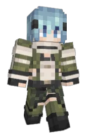 Skin preview