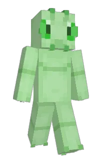 Front of RedPebbles21's skin