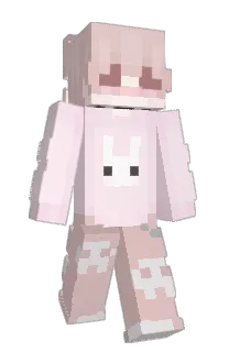 Front of nssie's skin