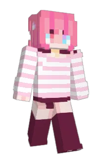 Acommpany's Minecraft skin