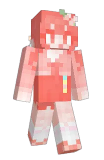 Front of mapper00's skin