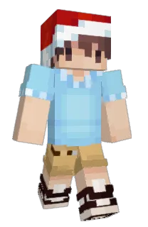 Front of plovka's skin