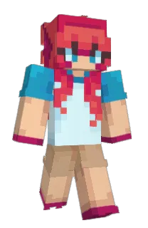 Front of Casssserole's skin