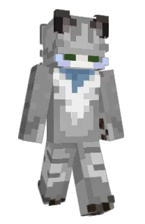 Front of thonss's skin