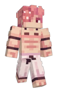 Front of Entity3039's skin