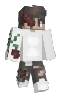 Front of MineCorp's skin