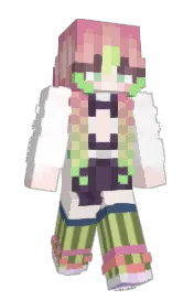 Skin preview