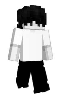 Front of ROLKIT's skin
