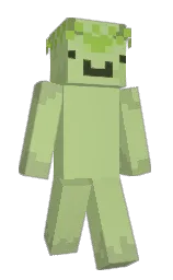 Slim Minecraft skin
