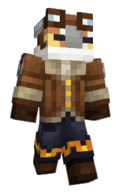 Skin preview