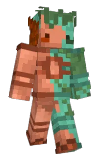 Front of Nawep's skin