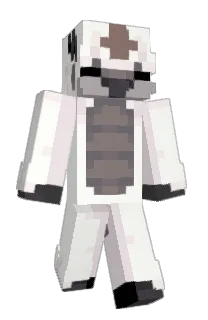 Front of talkool's skin