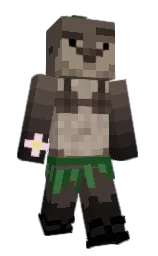 Classic Minecraft skin