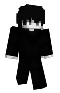 Front of Idealista's skin