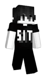 Slim Minecraft skin