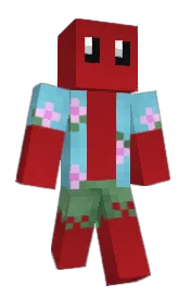 Skin preview