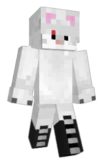 Front of LUISD501's skin