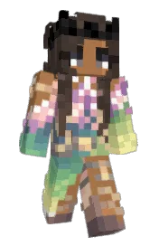 Skin preview