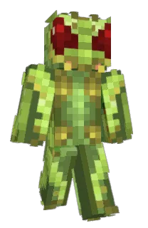 Front of PineVille's skin