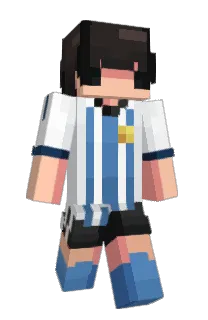Front of roiny7's skin