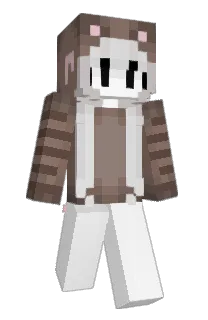 Front of rr1x's skin