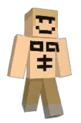 minerp17