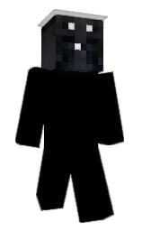 white and charade Minecraft skin — Slim model — first worn by AircraftCarrier5