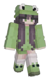 Skin preview