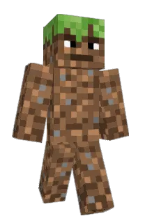 Front of rum350's skin