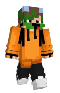 Front of TurtleJawz's skin