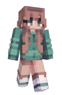 Front of tallymarks's skin