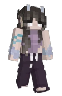 Front of Fayelly_'s skin