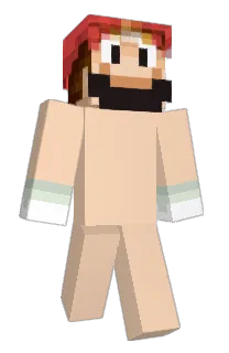 Front of PLUGGWALK's skin