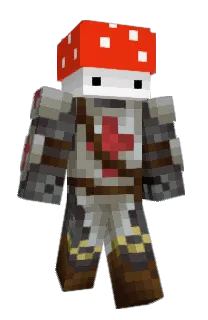 Front of Bannanasoup's skin