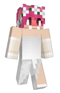 Front of Pcerdin's skin